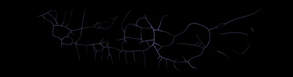 Study 1 · Stroke-width map